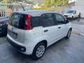 Fiat Panda Panda III 2016 1.2 Easy Bianco - thumbnail 4