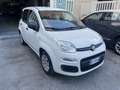 Fiat Panda Panda III 2016 1.2 Easy Bianco - thumbnail 3