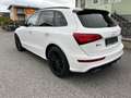Audi SQ5 SQ5 plus 3,0 TDI quattro Tiptronic Weiß - thumbnail 5