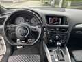 Audi SQ5 SQ5 plus 3,0 TDI quattro Tiptronic Weiß - thumbnail 7