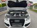 Audi SQ5 SQ5 plus 3,0 TDI quattro Tiptronic Weiß - thumbnail 12