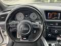 Audi SQ5 SQ5 plus 3,0 TDI quattro Tiptronic Weiß - thumbnail 8
