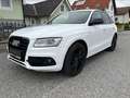 Audi SQ5 SQ5 plus 3,0 TDI quattro Tiptronic Weiß - thumbnail 3