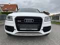 Audi SQ5 SQ5 plus 3,0 TDI quattro Tiptronic Weiß - thumbnail 2