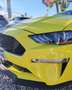 Ford Mustang Convertible 5.0 Ti-VCT GT Amarillo - thumbnail 2