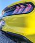 Ford Mustang Convertible 5.0 Ti-VCT GT Amarillo - thumbnail 10