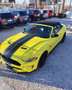 Ford Mustang Convertible 5.0 Ti-VCT GT Amarillo - thumbnail 15