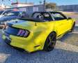 Ford Mustang Convertible 5.0 Ti-VCT GT Amarillo - thumbnail 32