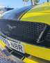 Ford Mustang Convertible 5.0 Ti-VCT GT Amarillo - thumbnail 4