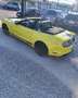 Ford Mustang Convertible 5.0 Ti-VCT GT Amarillo - thumbnail 31