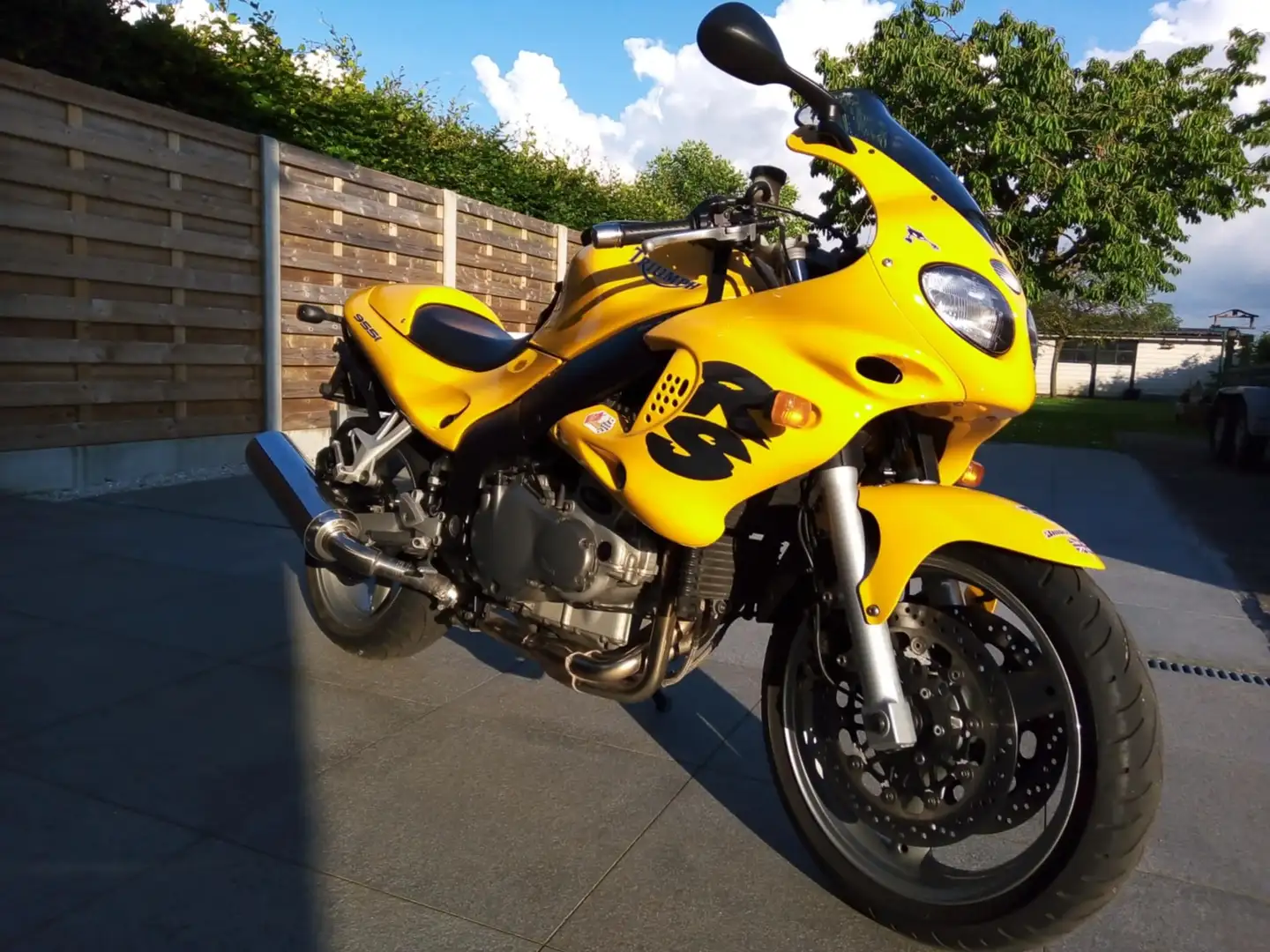 Triumph Sprint RS sprint rs 955 i Gelb - 2