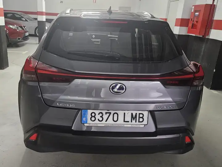 Lexus UX 250h BUSINESS 2020