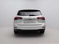 Ford Focus Kombi ST-Line X 1.0 EcoBoost mHEV PowerShift 155PS Weiß - thumbnail 7