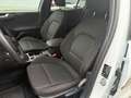 Ford Focus Turnier 1,0 EcoBoost Hybrid ST-Line Aut. Blanc - thumbnail 9
