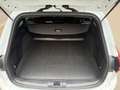 Ford Focus Turnier 1,0 EcoBoost Hybrid ST-Line Aut. Blanc - thumbnail 6