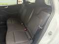Ford Focus Turnier 1,0 EcoBoost Hybrid ST-Line Aut. Blanc - thumbnail 8