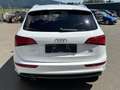 Audi Q5 2.0 TDI quattro (130kW) S-Line TEMP NAVI XEN PD... Weiß - thumbnail 4