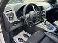 Audi Q5 2.0 TDI quattro (130kW) S-Line TEMP NAVI XEN PD... Weiß - thumbnail 14