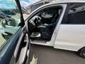 Audi Q5 2.0 TDI quattro (130kW) S-Line TEMP NAVI XEN PD... Weiß - thumbnail 13