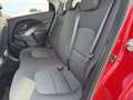 Kia Rio 1,2 CVVT Cool Rot - thumbnail 9