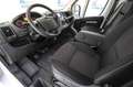 Opel Movano L1H2 2.2BlueHDI Blanc - thumbnail 25