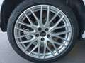 Audi Q2 35 TDI Adrenalin S tronic 110kW Blanco - thumbnail 6