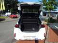 Opel Corsa-e e GS Line *Sportpaket* Blanc - thumbnail 8
