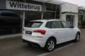 Skoda Kamiq 1.0 TSI 110pk Ambition / Dig. Cockpit / LED / LM 1 Wit - thumbnail 12