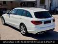 Mercedes-Benz C 220 T d 4M AVANTG-MULTIB-CAM-SHZG-TW-SpH-DAB-S Weiß - thumbnail 3