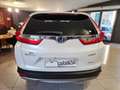 Honda CR-V (IN ARRIVO) V 2.0 hev Elegance Navi awd ecvt Bianco - thumbnail 5