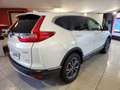 Honda CR-V (IN ARRIVO) V 2.0 hev Elegance Navi awd ecvt Bianco - thumbnail 4