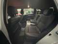 Renault Koleos Koleos 2.0 blue dci Executive 190cv x-tronic Bianco - thumbnail 8