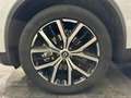 Renault Koleos Koleos 2.0 blue dci Executive 190cv x-tronic Bianco - thumbnail 14