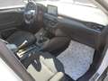 Ford Focus Active s Kombi Diesel Focus Traveller 1,5 EcoBlue Active X Blanc - thumbnail 13