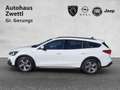 Ford Focus Active s Kombi Diesel Focus Traveller 1,5 EcoBlue Active X Blanc - thumbnail 3