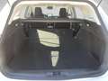 Ford Focus Active s Kombi Diesel Focus Traveller 1,5 EcoBlue Active X Blanc - thumbnail 12