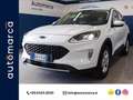 Ford Kuga 2.5 phev Connect 2wd 225cv e-shifter Bianco - thumbnail 1