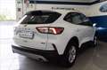 Ford Kuga 2.5 phev Connect 2wd 225cv e-shifter Bianco - thumbnail 2