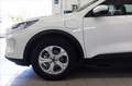 Ford Kuga 2.5 phev Connect 2wd 225cv e-shifter Bianco - thumbnail 7