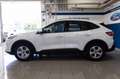 Ford Kuga 2.5 phev Connect 2wd 225cv e-shifter Bianco - thumbnail 3