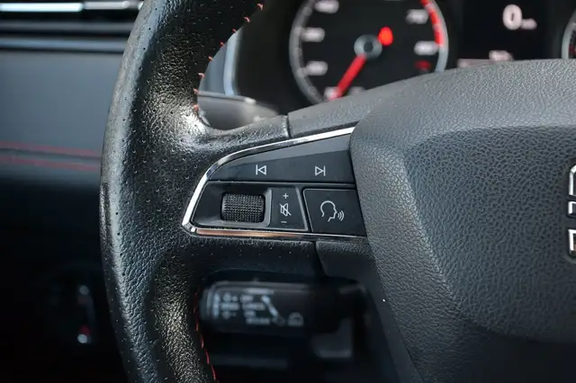 Seat Ibiza view 19