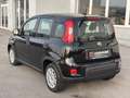 Fiat Panda 4x2 FireFly Hybrid 70 Schwarz - thumbnail 4
