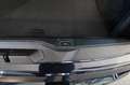 BMW X5 xDrive30d 48V MSport - TETTO/CERCHI 21/SOSPENSIONI Schwarz - thumbnail 15