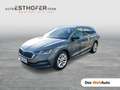 Skoda Octavia Style TDI Grau - thumbnail 1