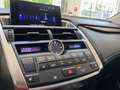 Lexus NX 300 h hybrid 4WD Grey - thumnbnail 15