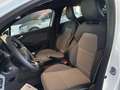 Renault Clio NUOVA techno MY24 ECO-G 100 Blanc - thumbnail 12