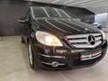 Mercedes-Benz B 200 B200*PDC*AHK*Panorama*Sitzheizung* Schwarz - thumbnail 26