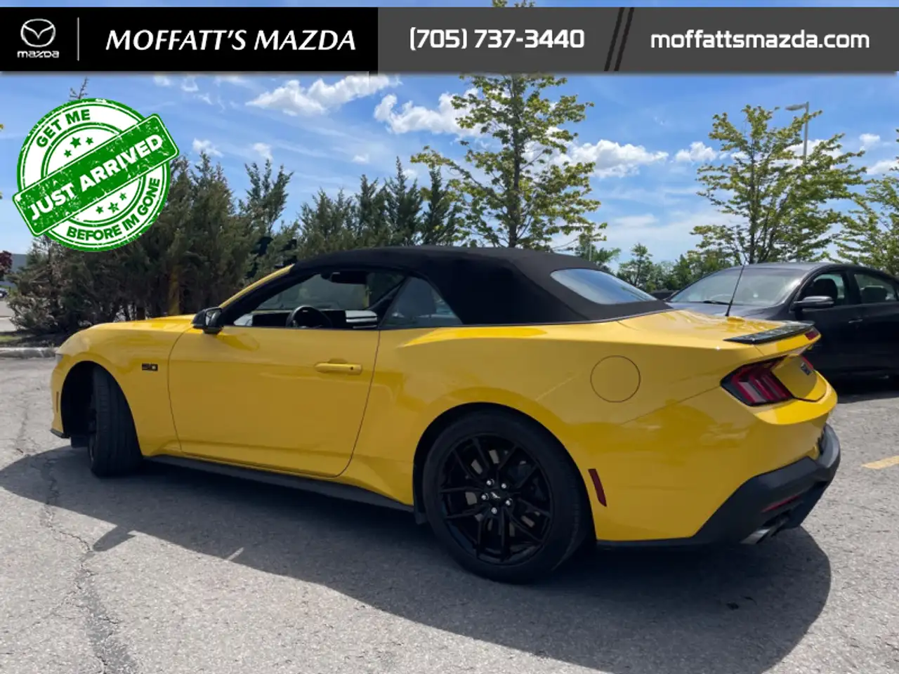 Ford Mustang fotografie Ford Mustang