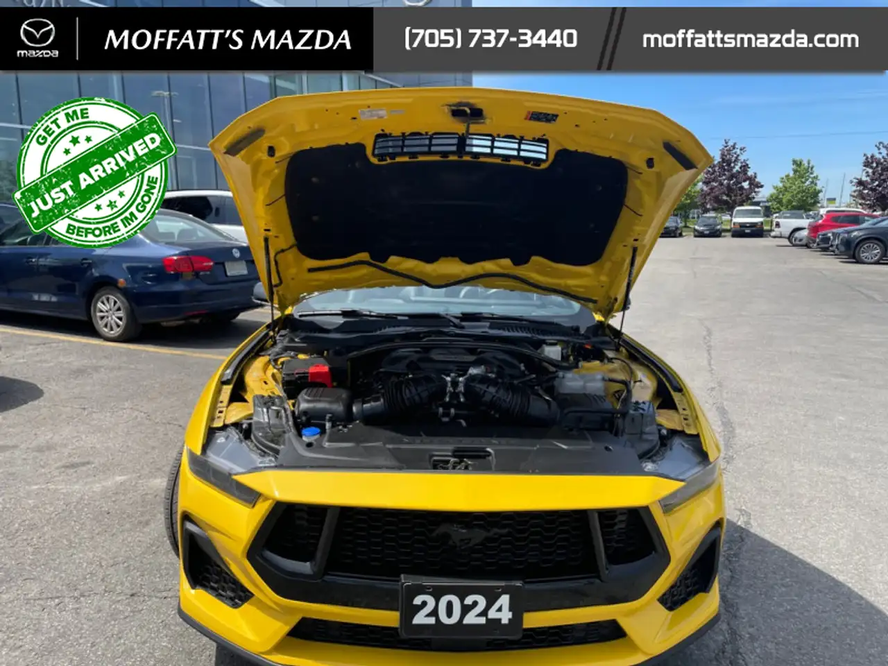 Ford Mustang fotografie Ford Mustang