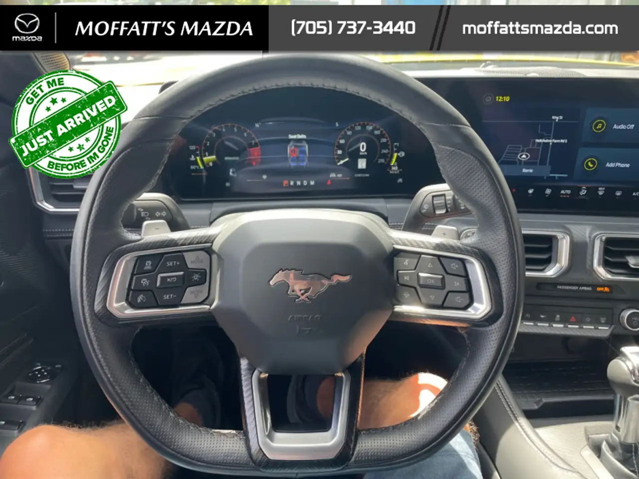 Ford Mustang fotografie Ford Mustang